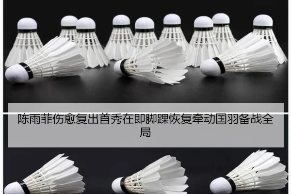 陈雨菲伤愈复出首秀在即脚踝恢复牵动国羽备战全局